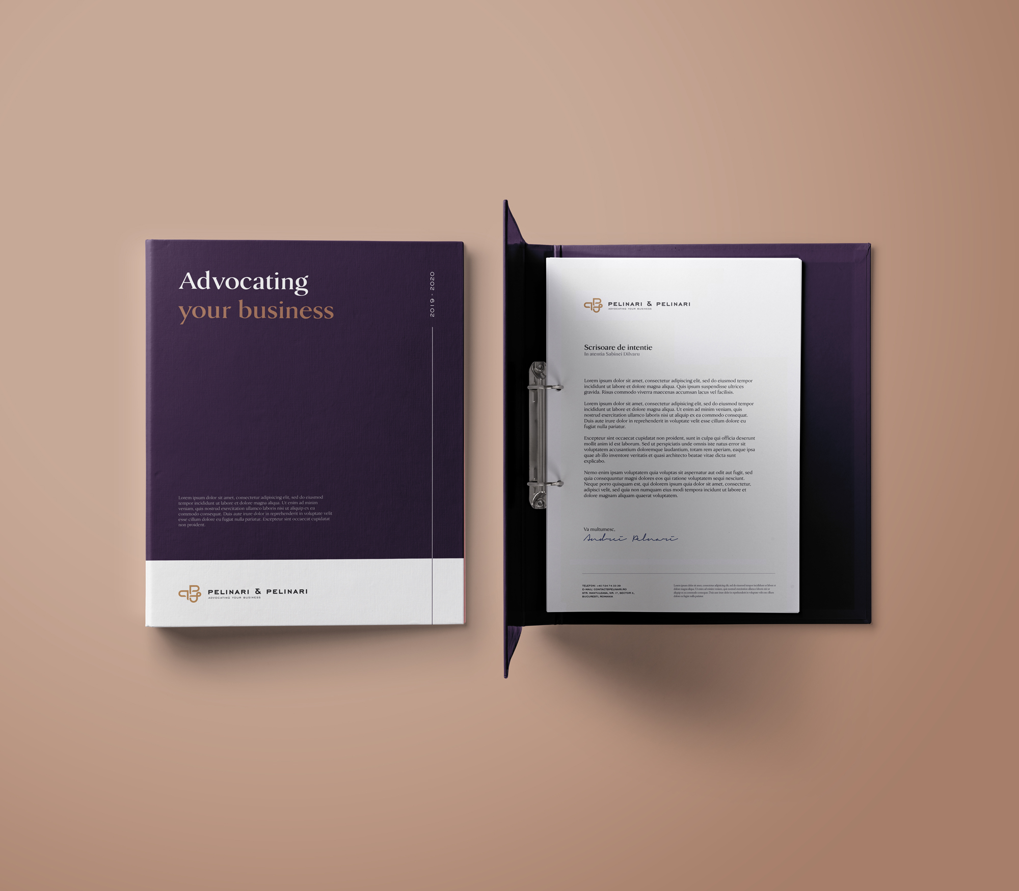 Biblioraft-Pelinari-1 pelinari