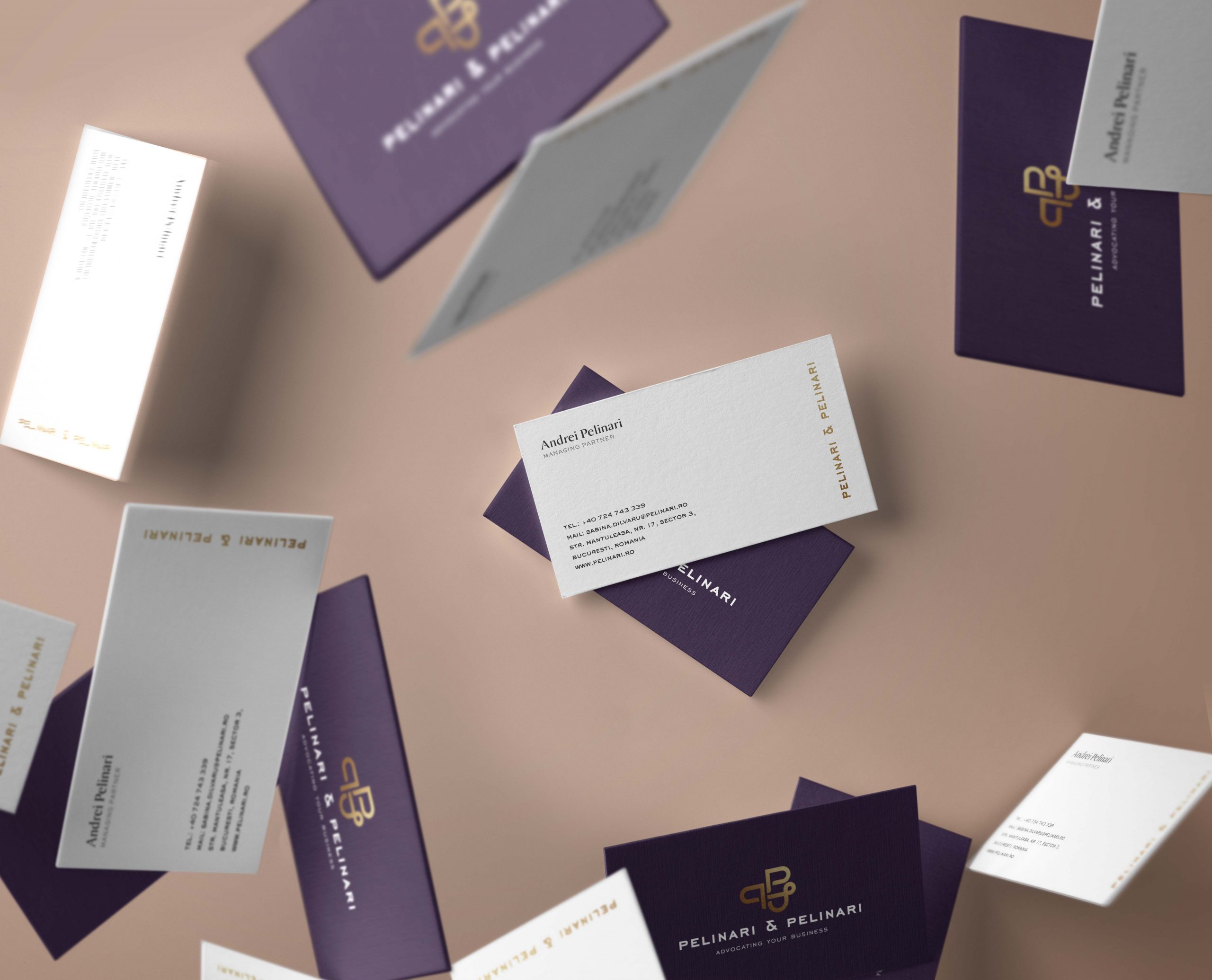 Carti de vizita Pelinari-4