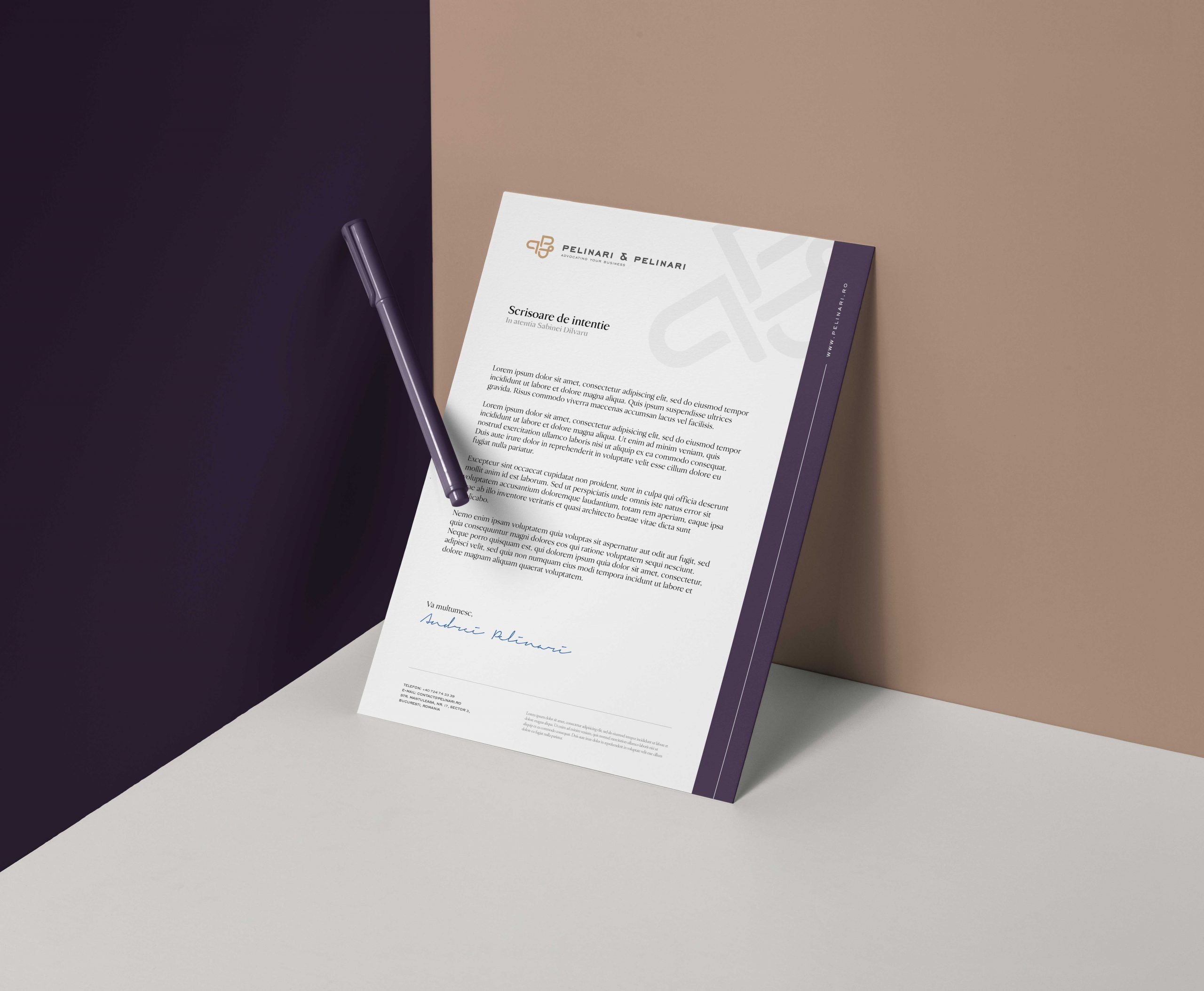 Mockup document Pelinari-3